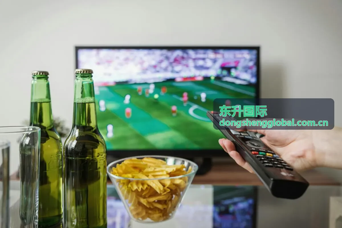 东升国际助力制造企业进入东南亚市场案例